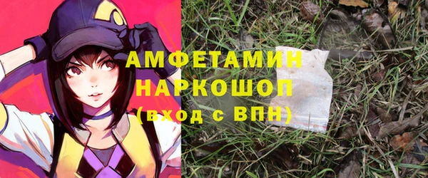 метадон Алексин